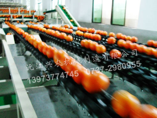 水果分選機(jī)分類功能簡單介紹